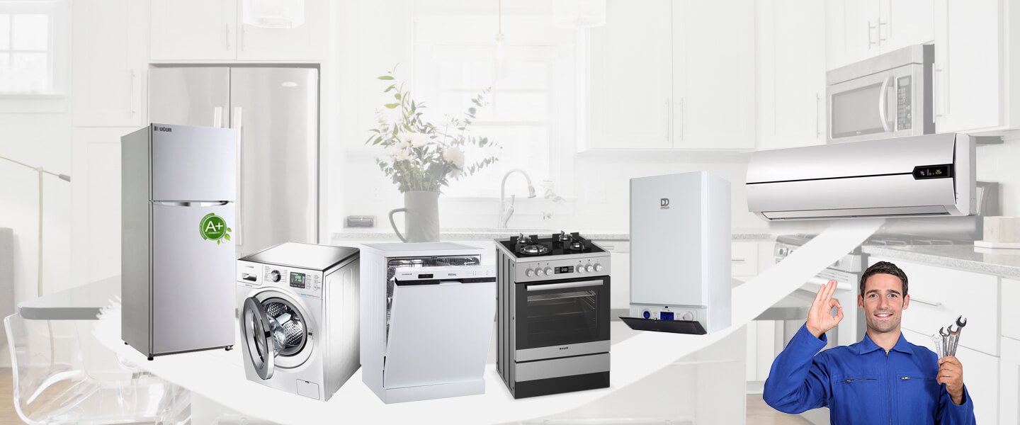 Mihalıççık Warmhaus Servisi